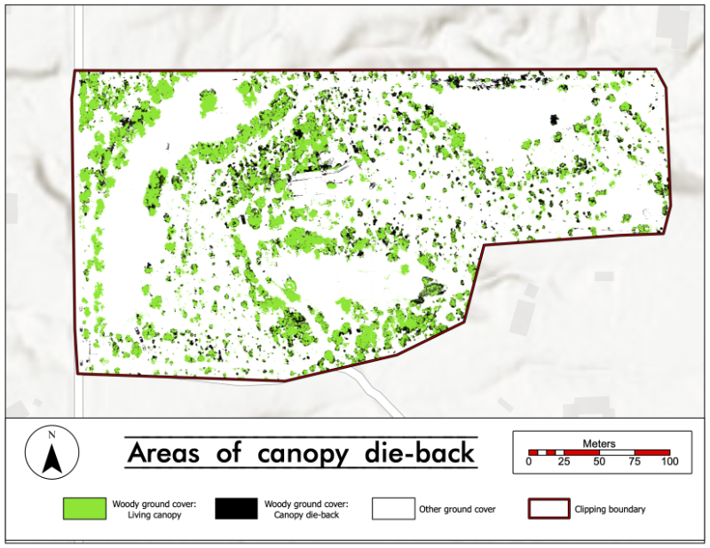 A map shows the extent of canopy cover and die-back on a large parcel.